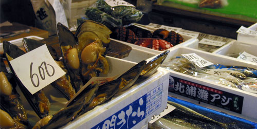 Tsukiji Scallops and Octopuses